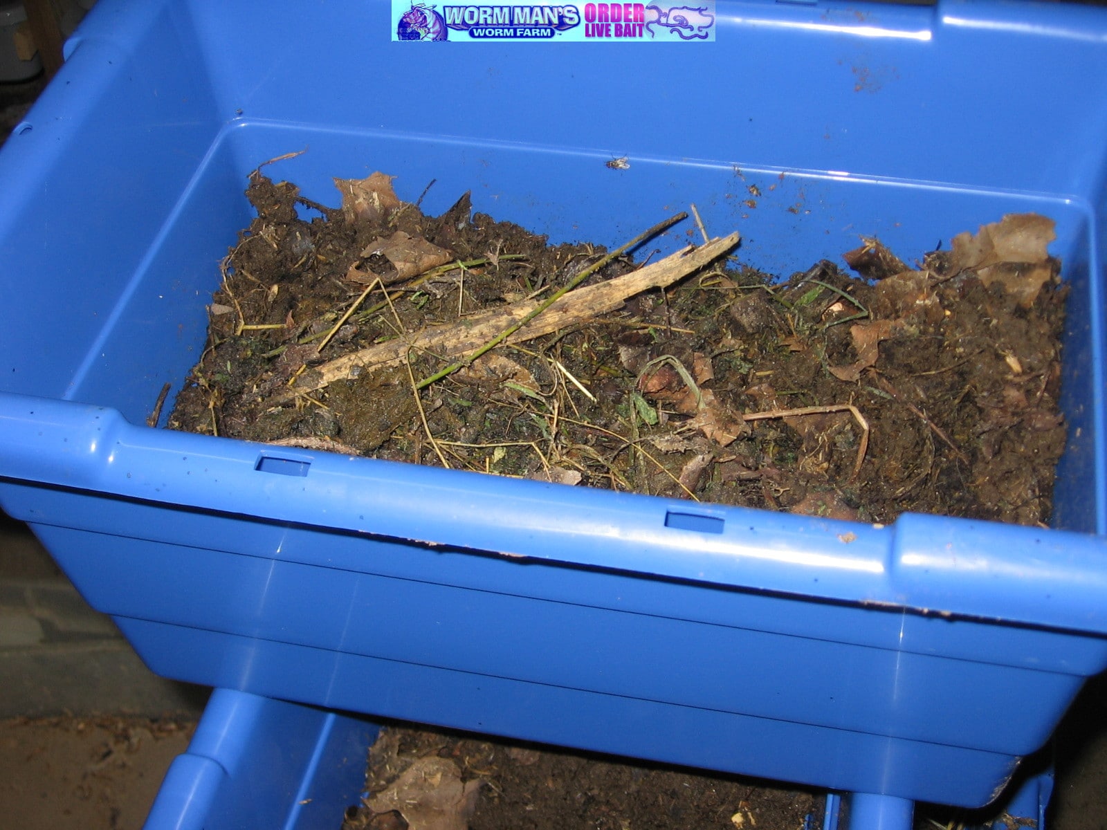 Making Peat Moss Free Red Composting Worms Breeder Bedding