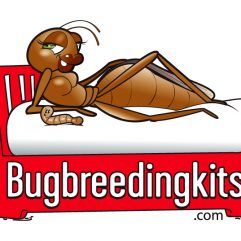 Breeding Kits