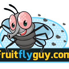 Fruit Flies